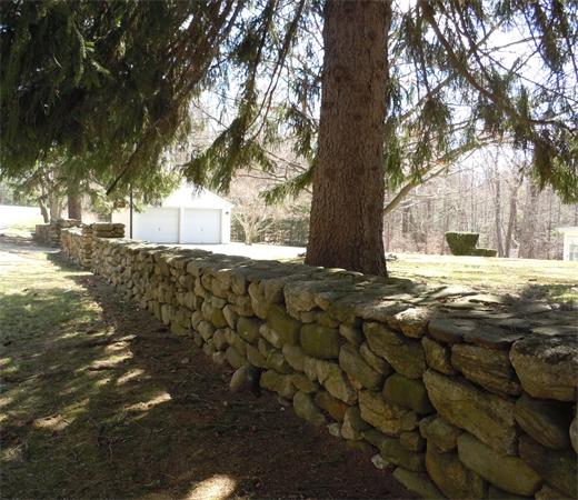 29 Putnam Road Sturbridge, MA 01566 - Photo 17 of 19 a view of yard with tree