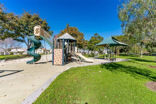 a view of a park with a tree