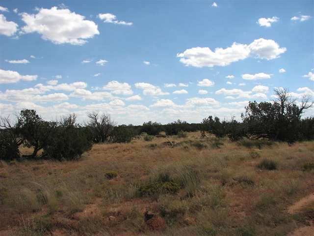 Lot 43 Chevelon Canyon Ranch Heber, AZ 85928 - Photo 2 of 4