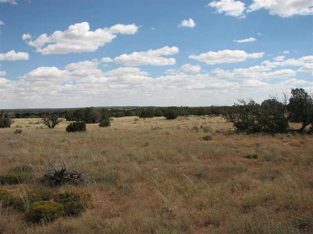 Lot 43 Chevelon Canyon Ranch Heber, AZ 85928 - Photo 4 of 4