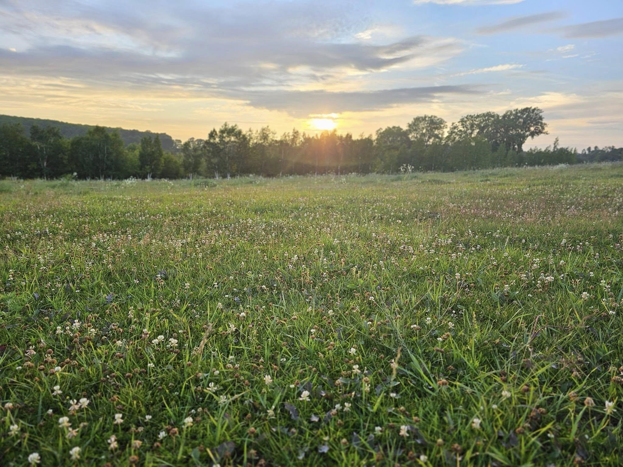 4879 Mathey Road Sturgeon Bay, WI 54235 - Photo 81 of 86
