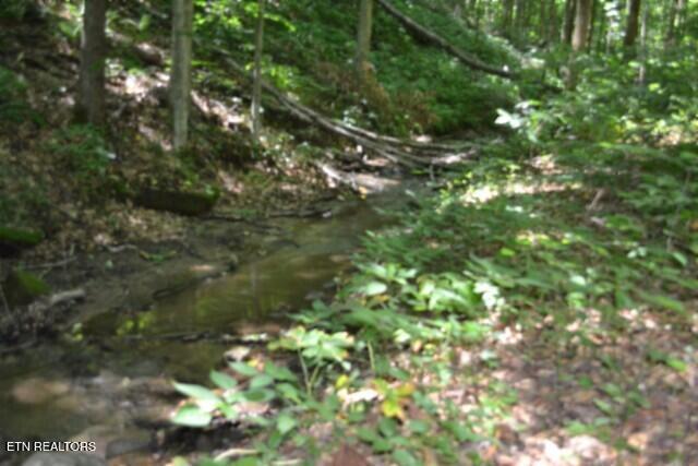 2390 Pea Ridge Fire Tower Road Celina, TN 38551 - Photo 27 of 58 DSC_0112