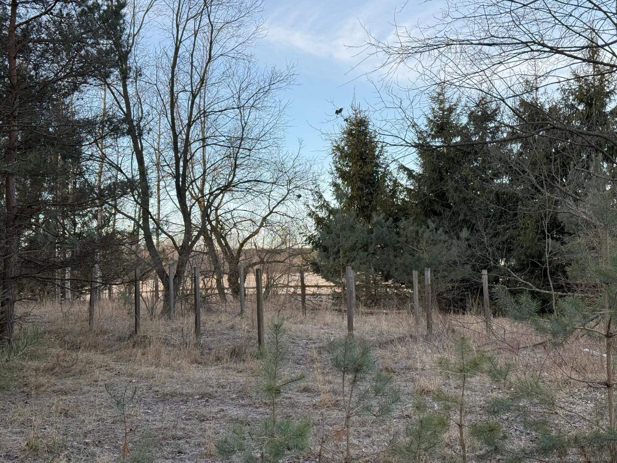 3635 Washington Road Carsonville, MI 48419 - Photo 11 of 17