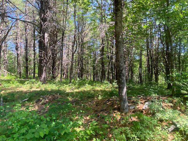 20 Hole In The Wall Road Solon, ME 04979 - Photo 18 of 18 IMG_3423
