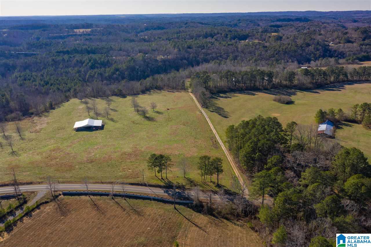 10492 Bradford Trafford Road Trafford, AL 35172 - Photo 3 of 47