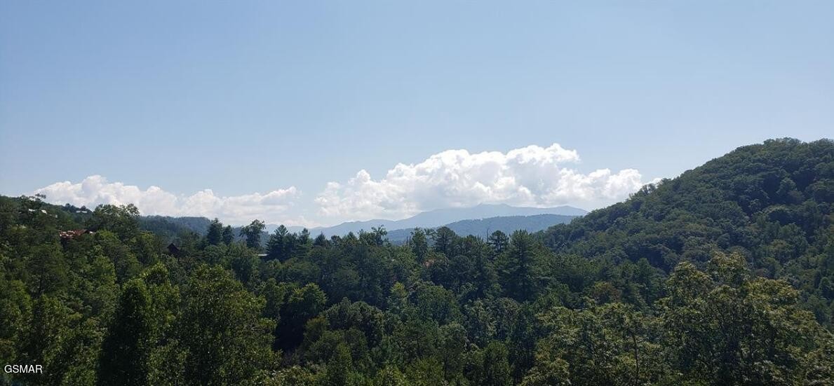 1163 Pine Mountain Road Sevierville, TN 37862 - Photo 35 of 40 Gallery Image 35