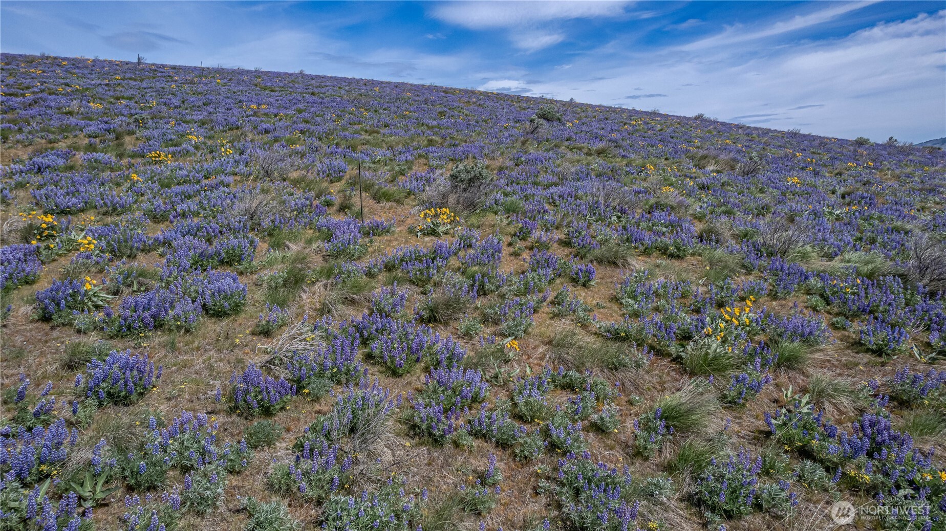 2 Burch Mountain Road Wenatchee, WA 98801 - Photo 11 of 24