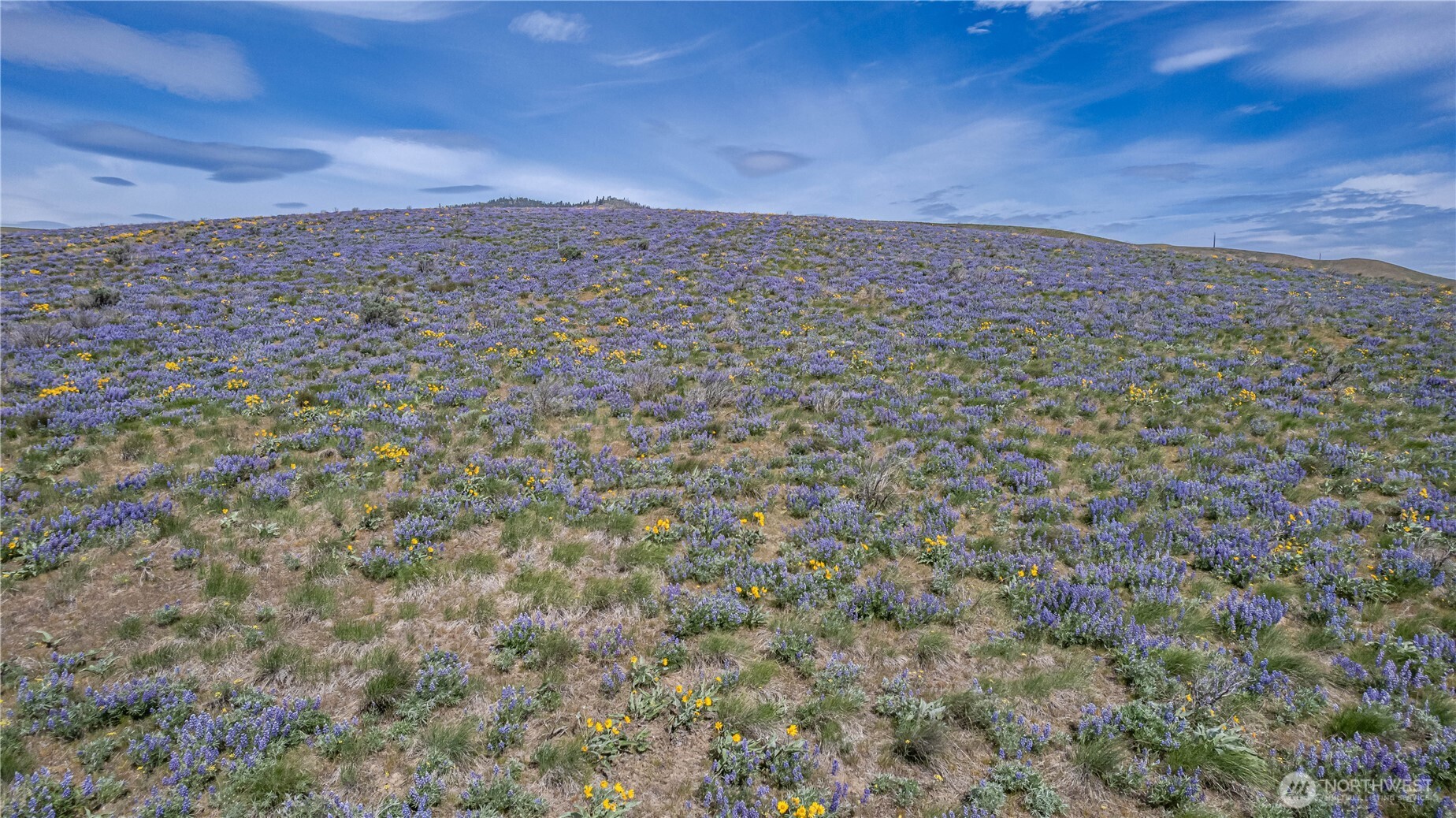 2 Burch Mountain Road Wenatchee, WA 98801 - Photo 16 of 24