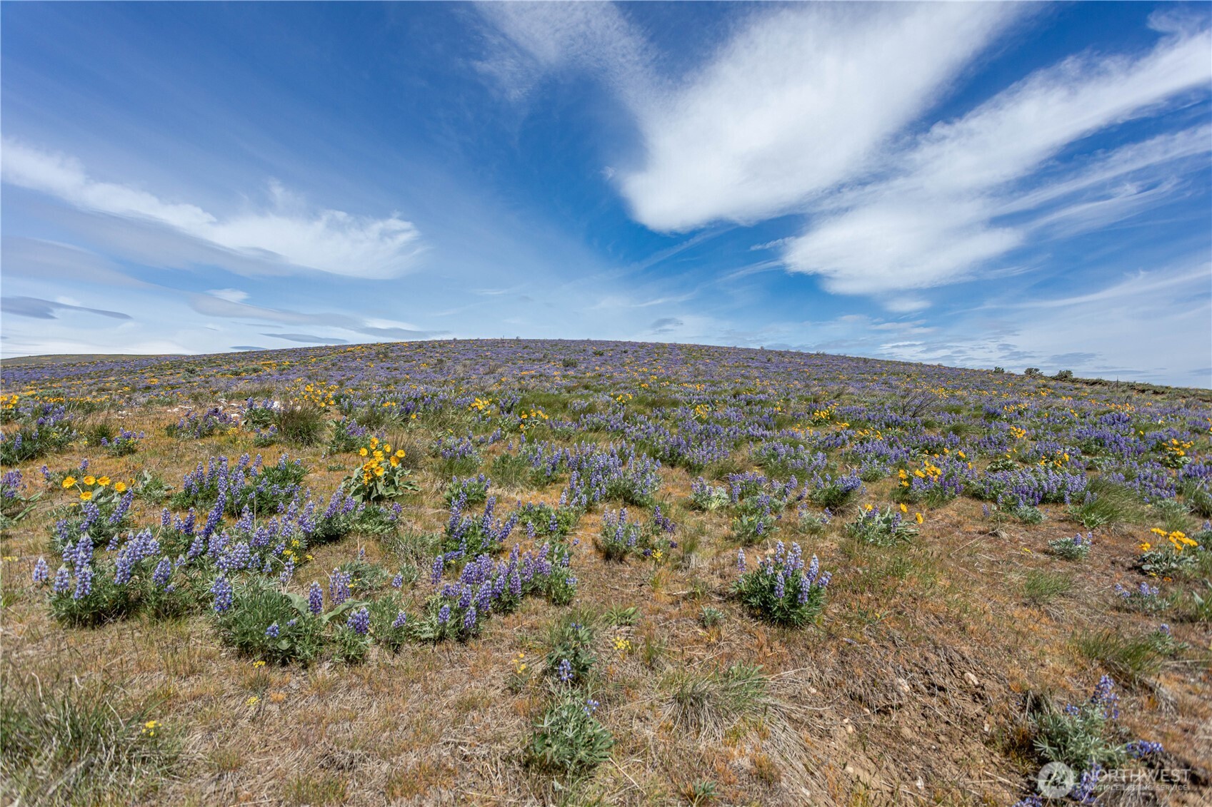 2 Burch Mountain Road Wenatchee, WA 98801 - Photo 18 of 24