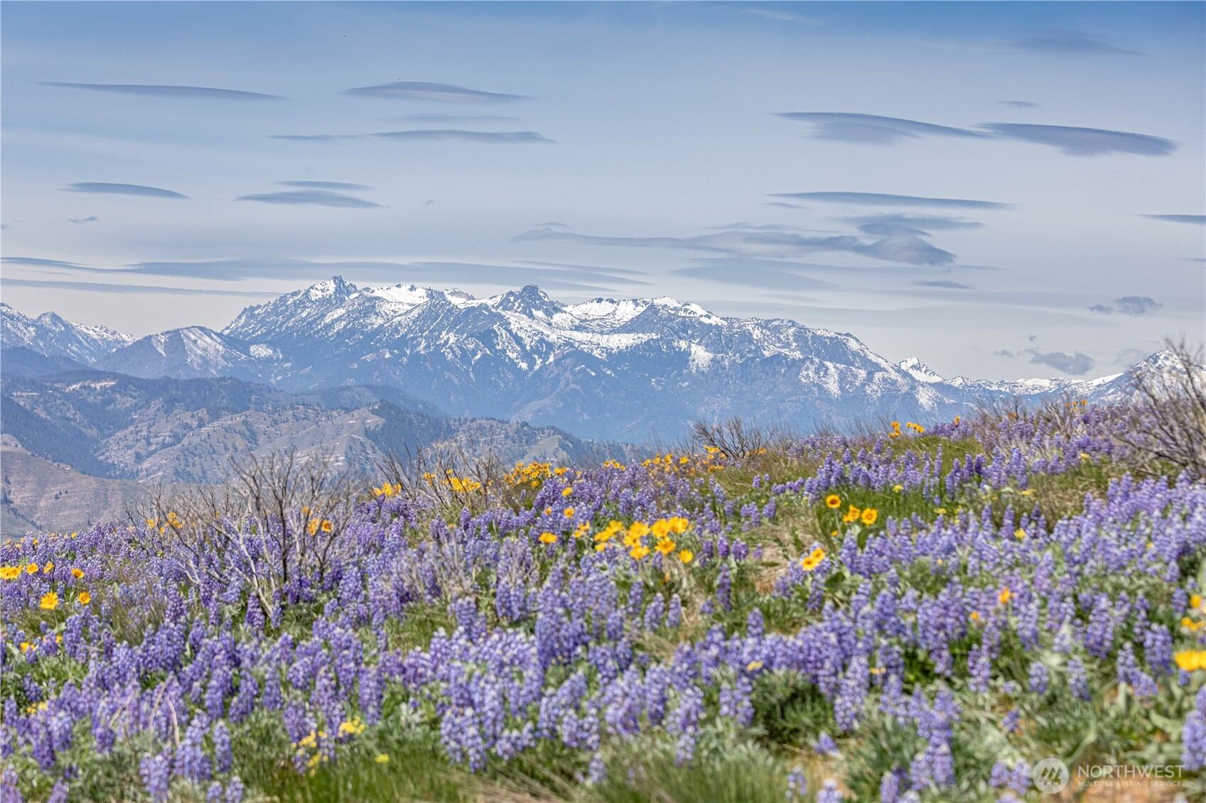 2 Burch Mountain Road Wenatchee, WA 98801 - Photo 4 of 24