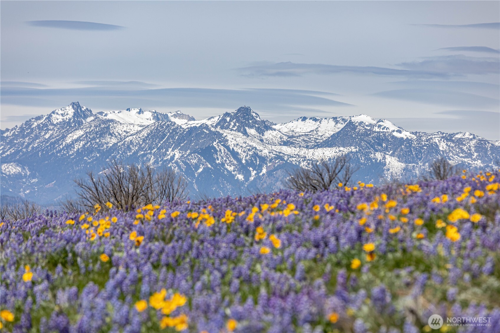 2 Burch Mountain Road Wenatchee, WA 98801 - Photo 8 of 24