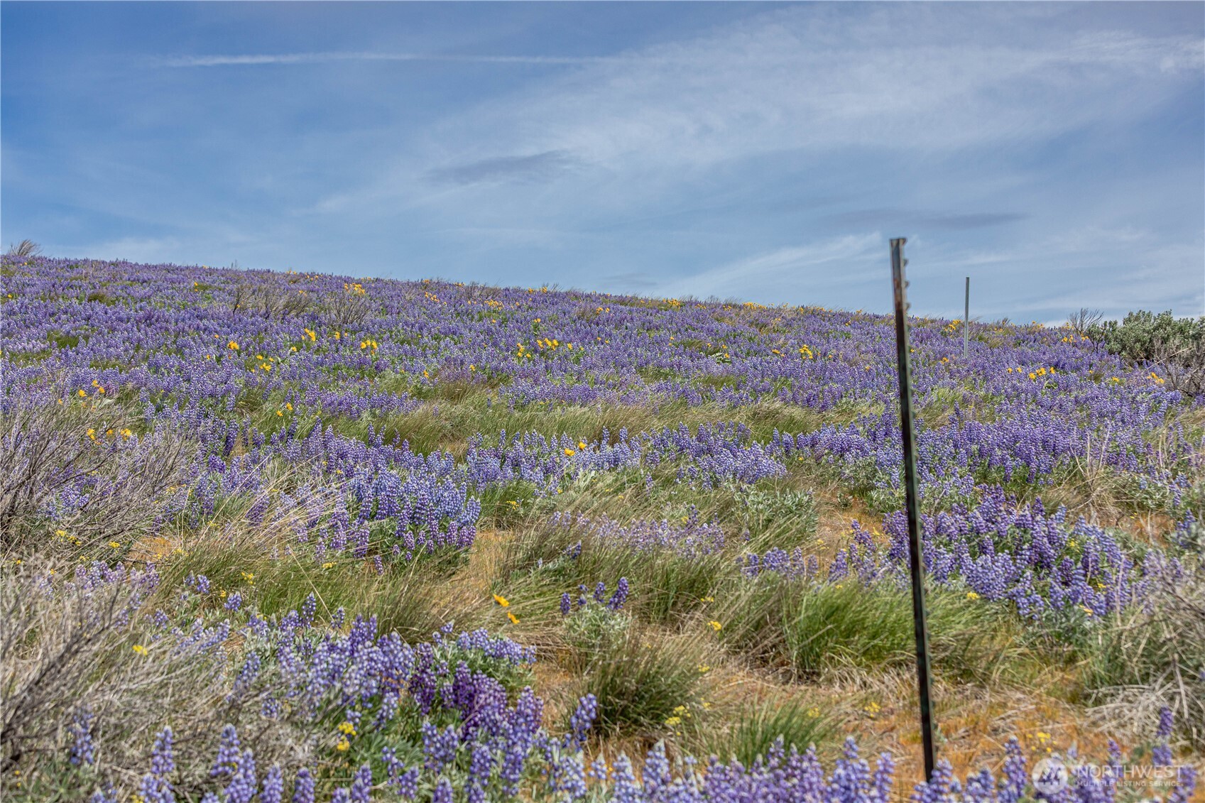 2 Burch Mountain Road Wenatchee, WA 98801 - Photo 9 of 24