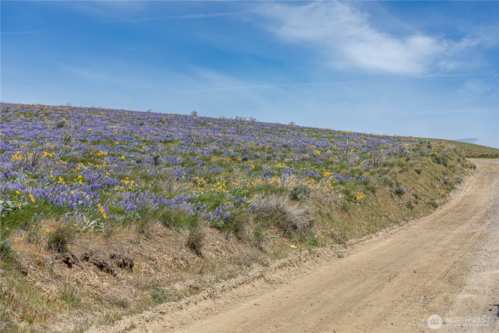 2 Burch Mountain Road Wenatchee, WA 98801 - Photo 10 of 24