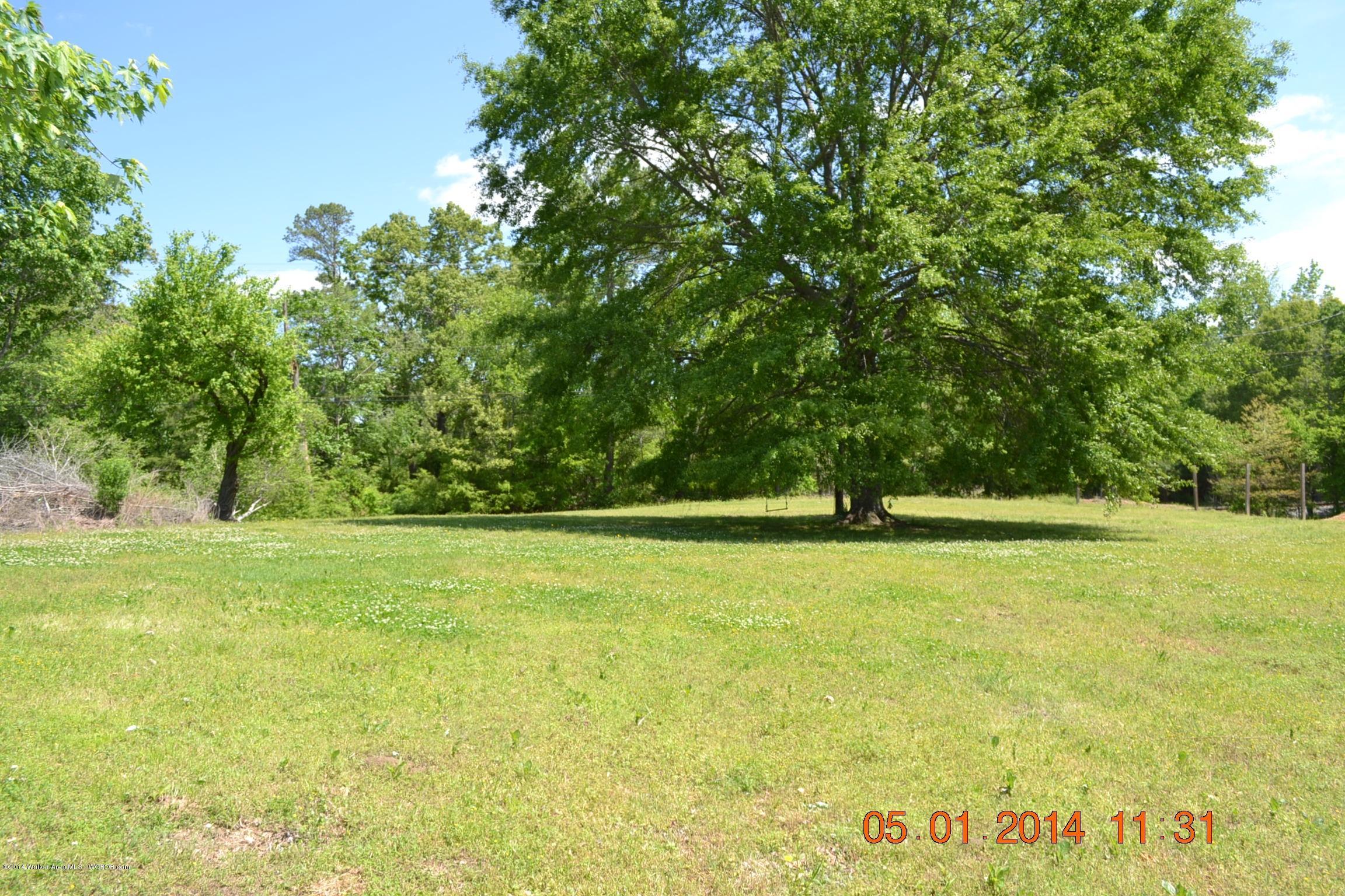 4371 Redmill Saragossa Road Nauvoo, AL 35578 - Photo 12 of 17 Gallery Image 12