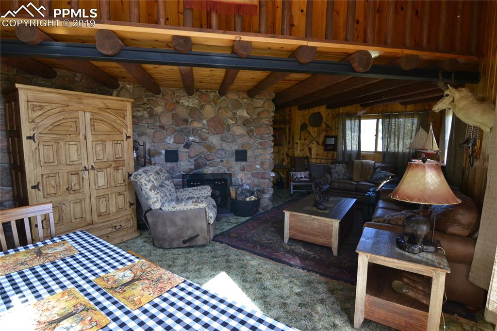 Edlowe Road Woodland Park, CO 80863 - Photo 12 of 36