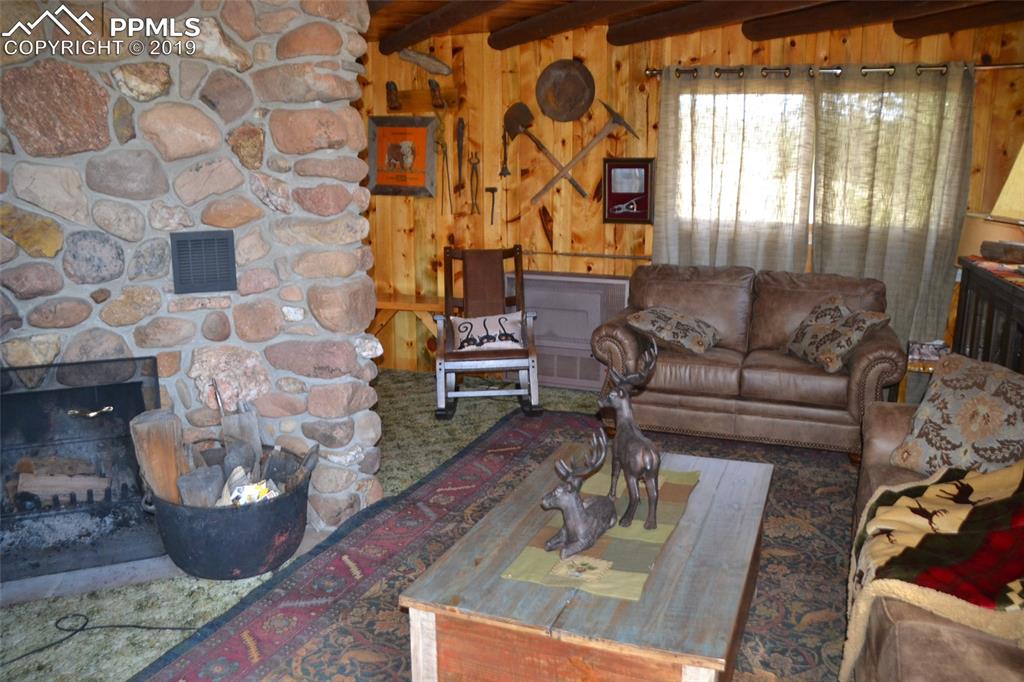 Edlowe Road Woodland Park, CO 80863 - Photo 13 of 36