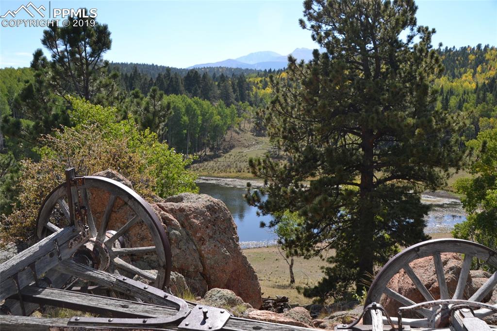 Edlowe Road Woodland Park, CO 80863 - Photo 16 of 36