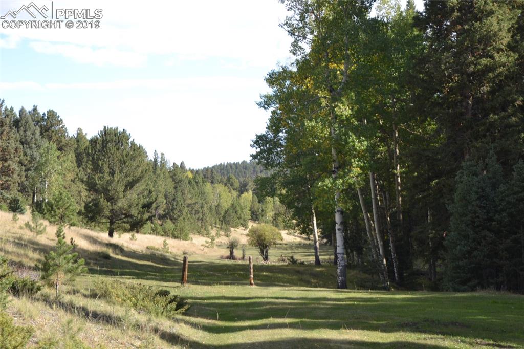 Edlowe Road Woodland Park, CO 80863 - Photo 17 of 36