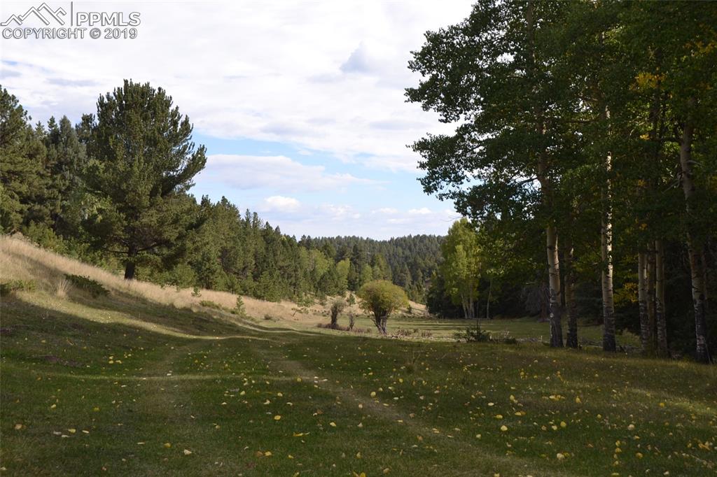 Edlowe Road Woodland Park, CO 80863 - Photo 18 of 36