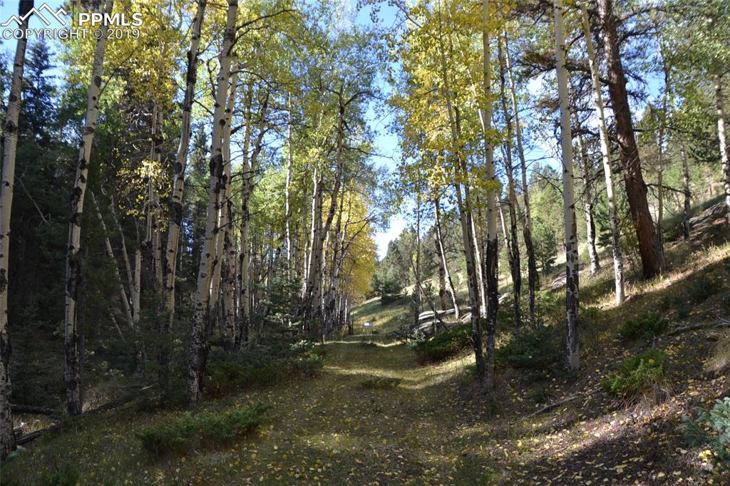 Edlowe Road Woodland Park, CO 80863 - Photo 19 of 36