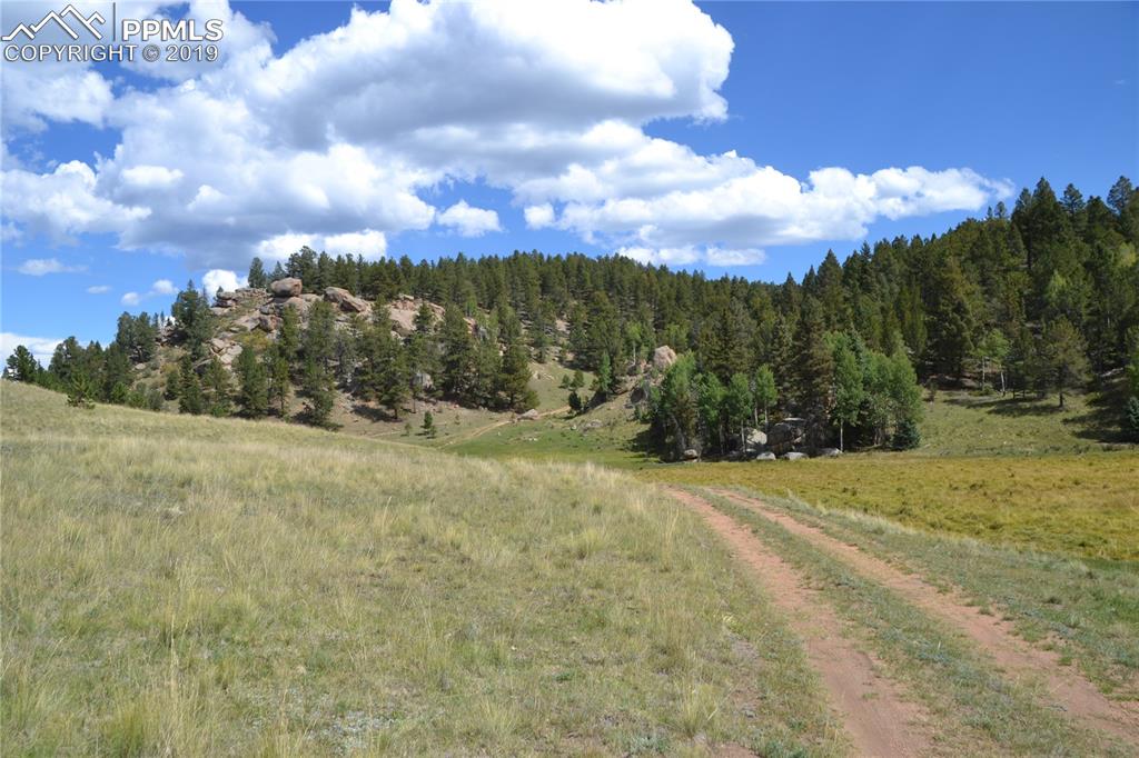 Edlowe Road Woodland Park, CO 80863 - Photo 20 of 36