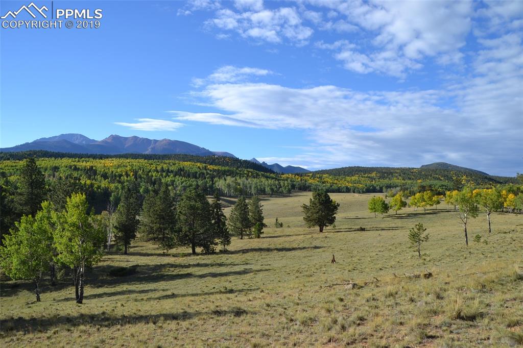 Edlowe Road Woodland Park, CO 80863 - Photo 2 of 36
