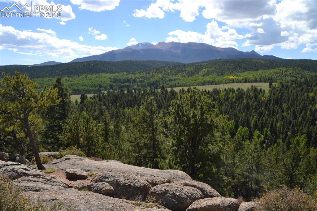 Edlowe Road Woodland Park, CO 80863 - Photo 21 of 36