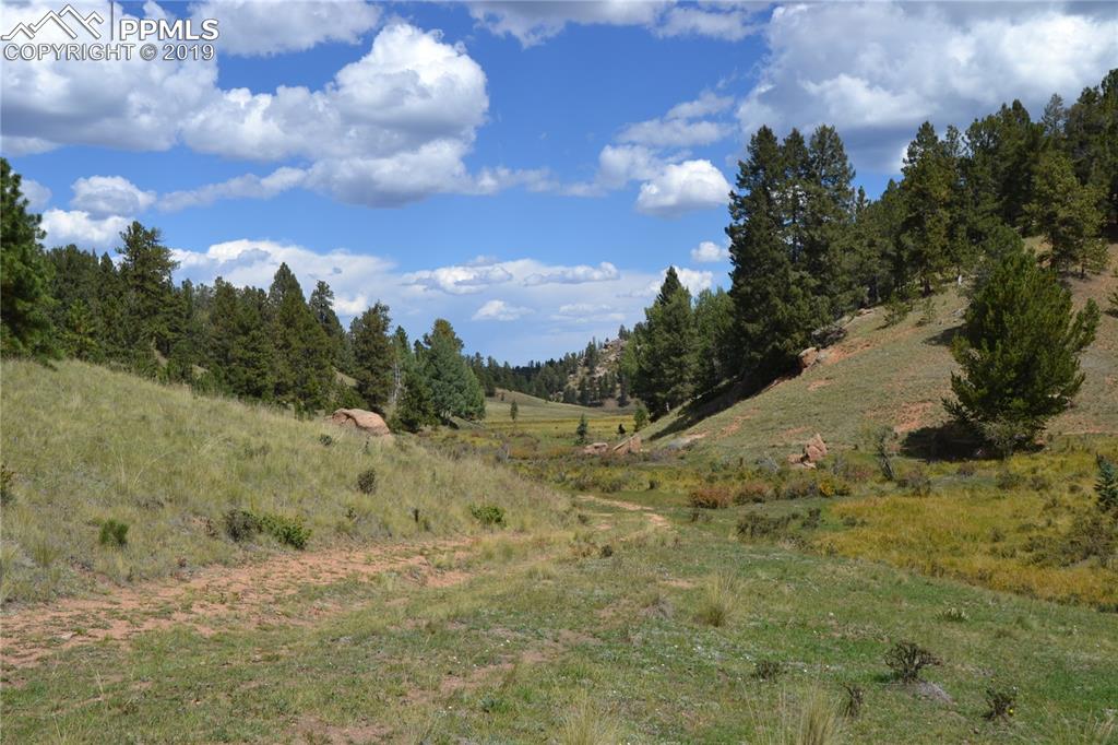 Edlowe Road Woodland Park, CO 80863 - Photo 22 of 36