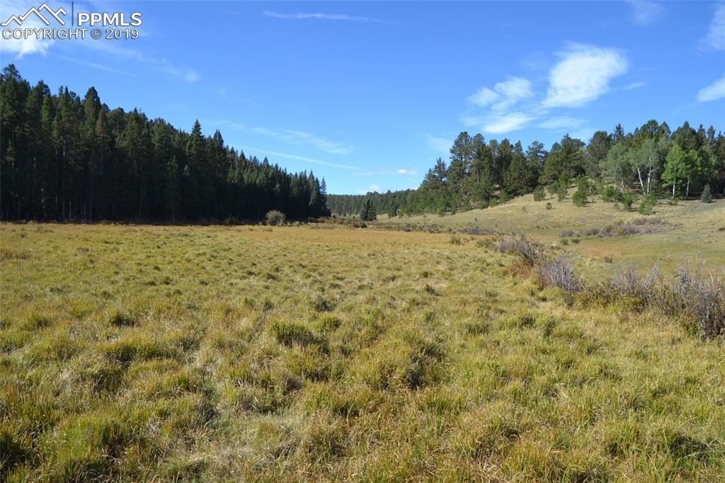 Edlowe Road Woodland Park, CO 80863 - Photo 23 of 36