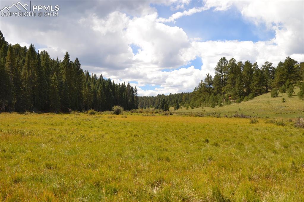 Edlowe Road Woodland Park, CO 80863 - Photo 24 of 36