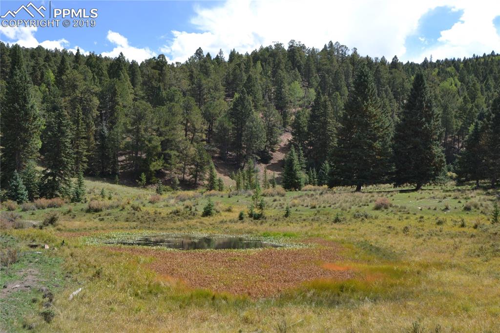 Edlowe Road Woodland Park, CO 80863 - Photo 25 of 36