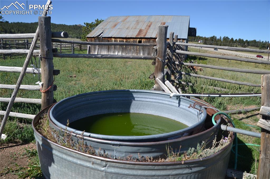 Edlowe Road Woodland Park, CO 80863 - Photo 27 of 36