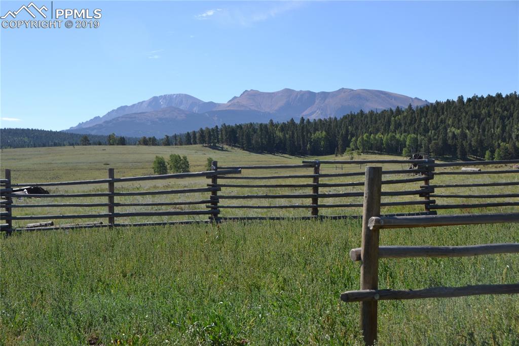 Edlowe Road Woodland Park, CO 80863 - Photo 28 of 36