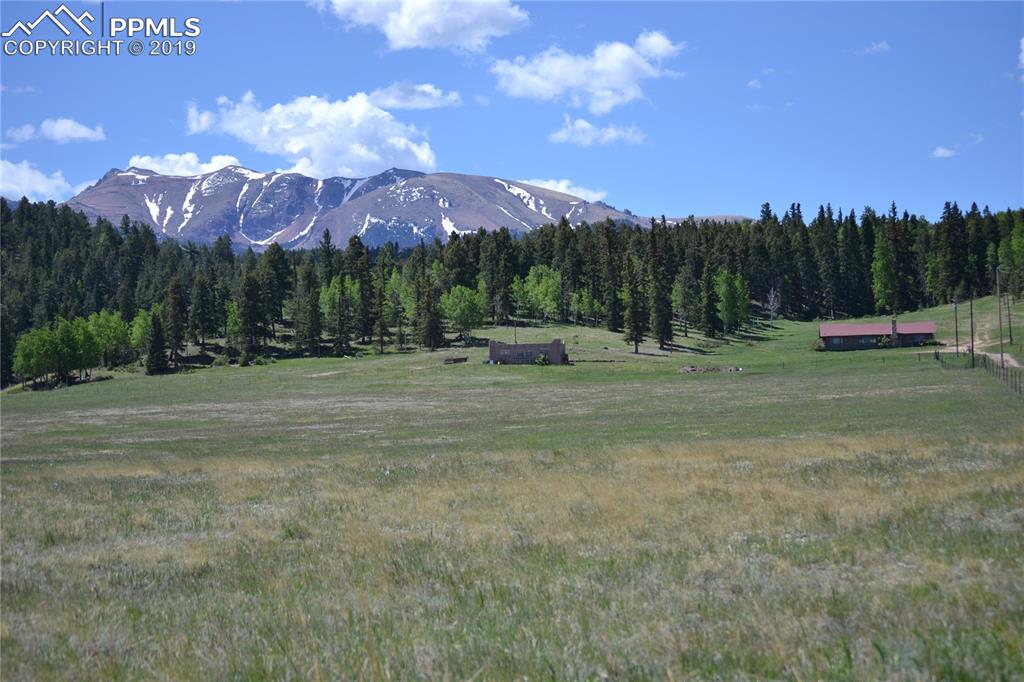 Edlowe Road Woodland Park, CO 80863 - Photo 30 of 36