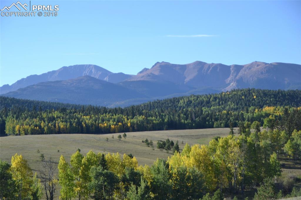 Edlowe Road Woodland Park, CO 80863 - Photo 3 of 36