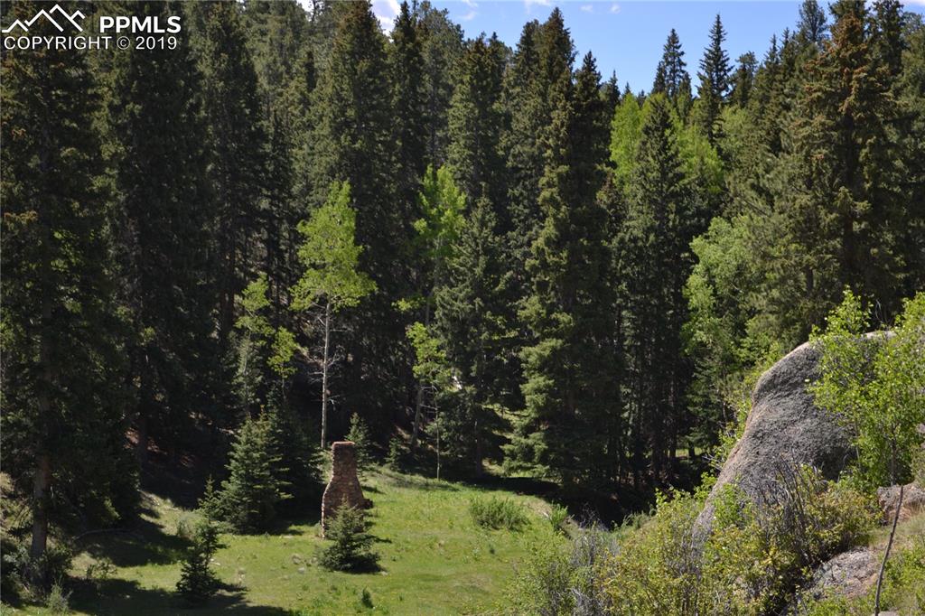 Edlowe Road Woodland Park, CO 80863 - Photo 32 of 36