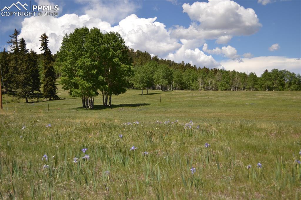 Edlowe Road Woodland Park, CO 80863 - Photo 33 of 36