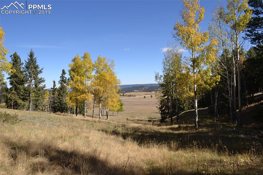 Edlowe Road Woodland Park, CO 80863 - Photo 34 of 36