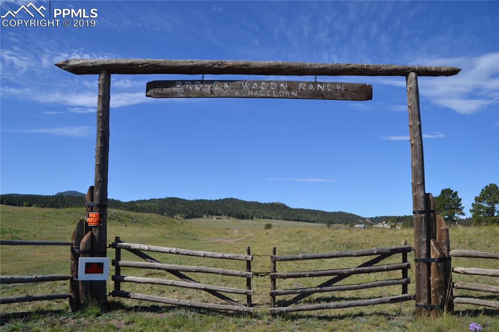 Edlowe Road Woodland Park, CO 80863 - Photo 36 of 36