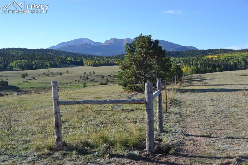 Edlowe Road Woodland Park, CO 80863 - Photo 4 of 36