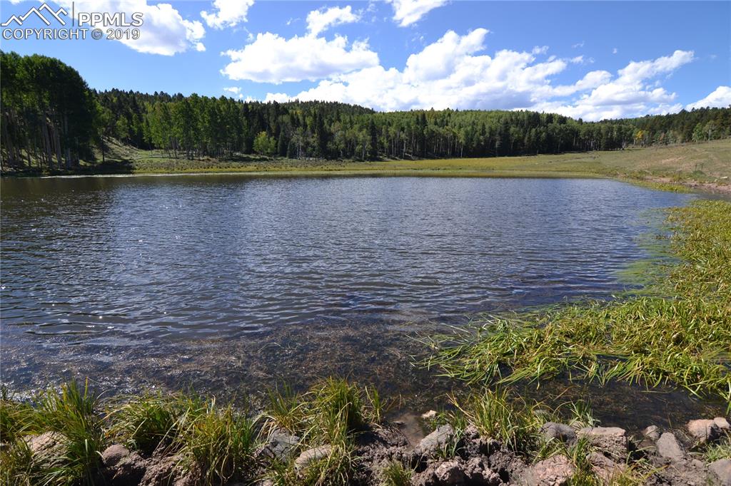 Edlowe Road Woodland Park, CO 80863 - Photo 6 of 36