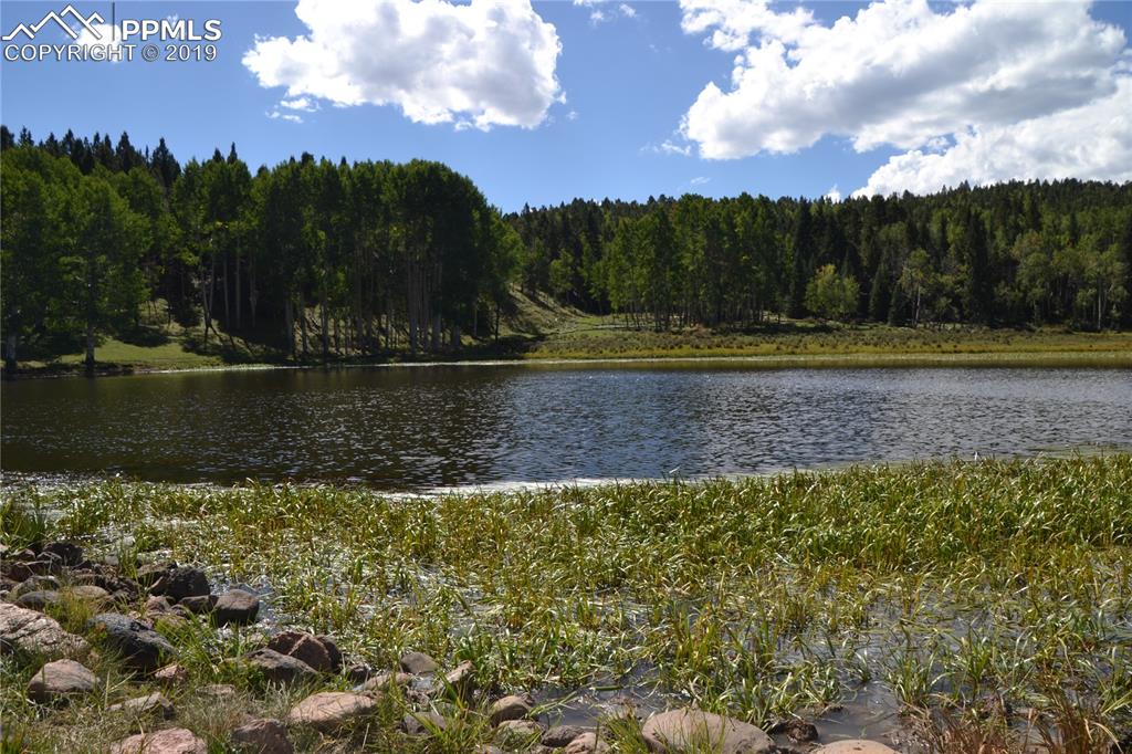 Edlowe Road Woodland Park, CO 80863 - Photo 7 of 36