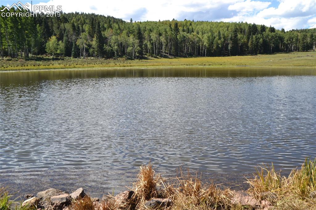 Edlowe Road Woodland Park, CO 80863 - Photo 8 of 36