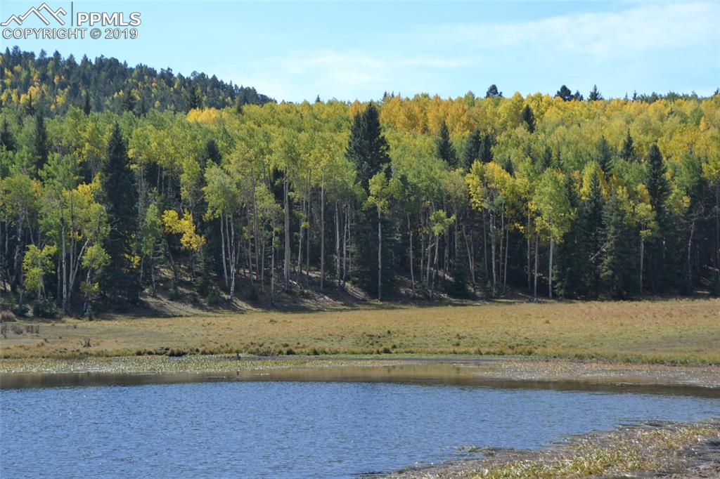 Edlowe Road Woodland Park, CO 80863 - Photo 9 of 36