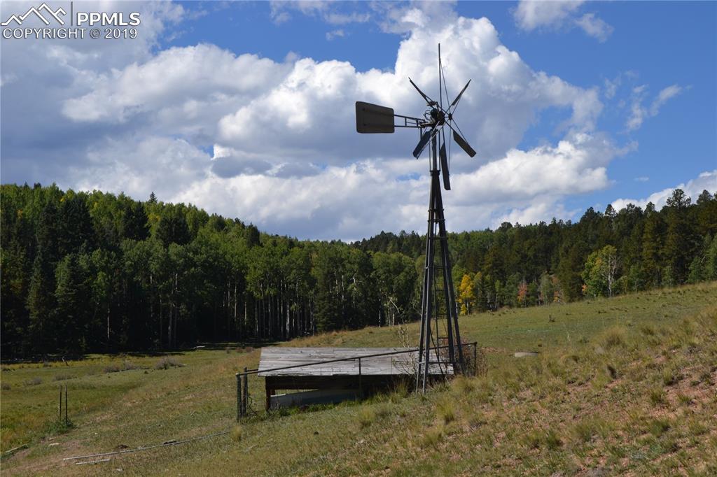 Edlowe Road Woodland Park, CO 80863 - Photo 10 of 36