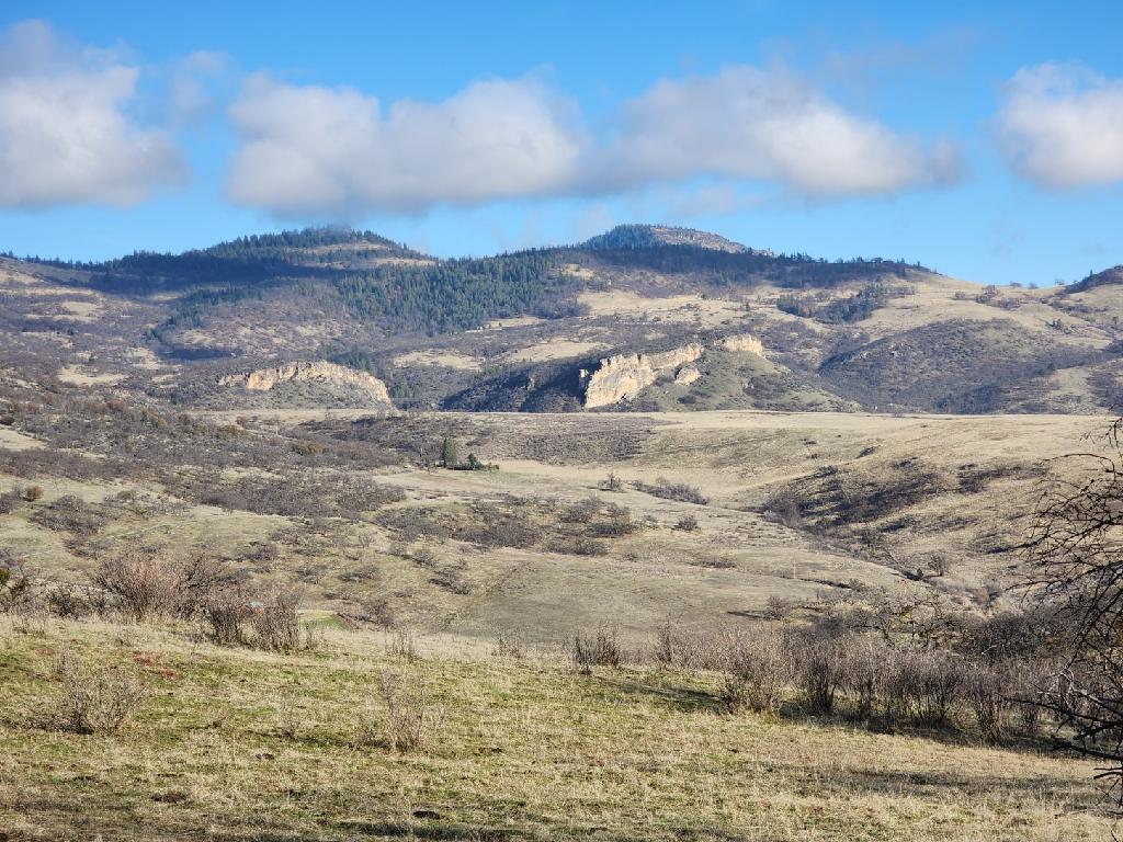 3403 North Valley View Road Ashland, OR 97520 - Photo 51 of 51 image000001