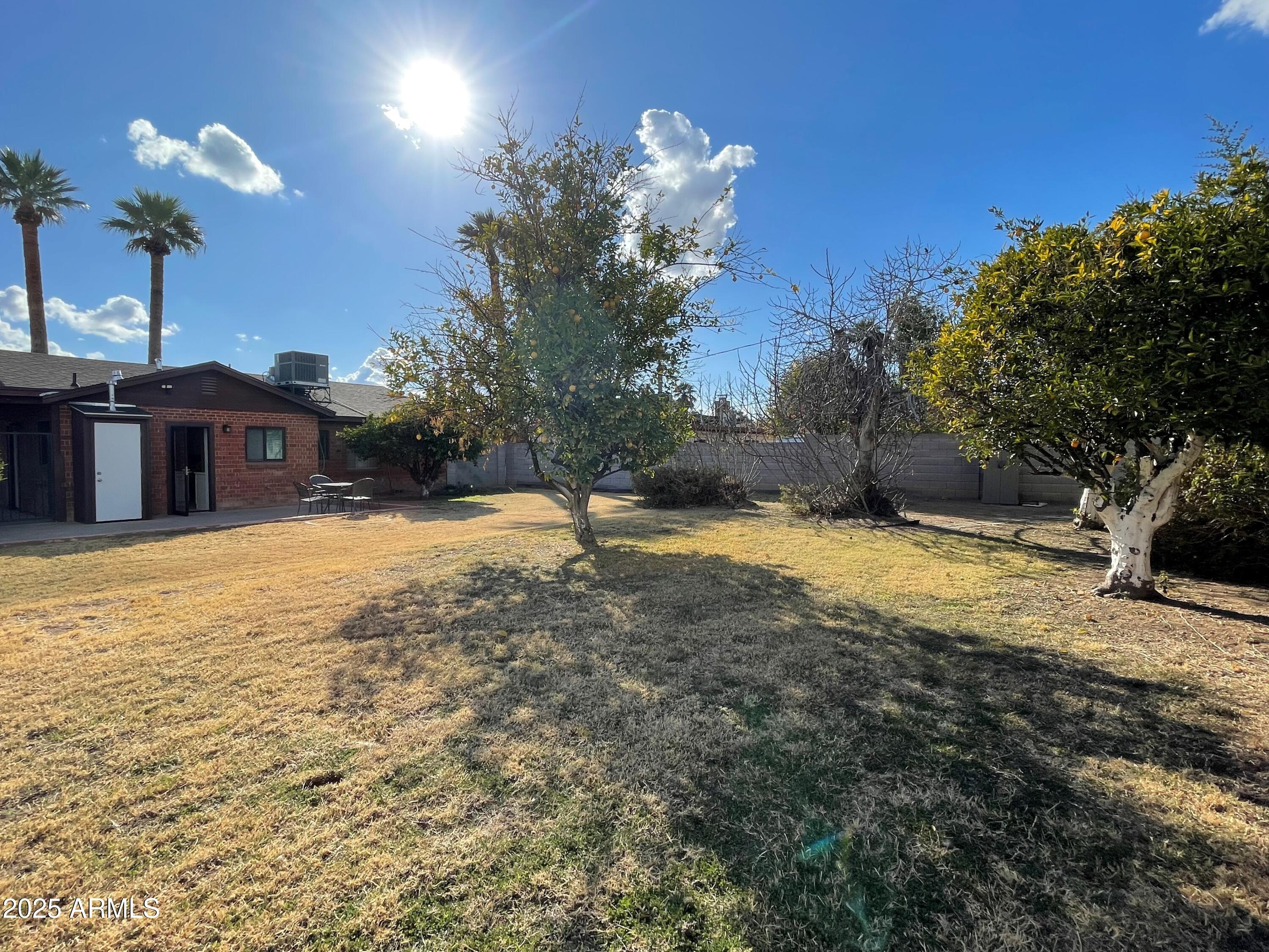830 East Lamar Road Phoenix, AZ 85014 - Photo 11 of 35 Large Backyard with Grass