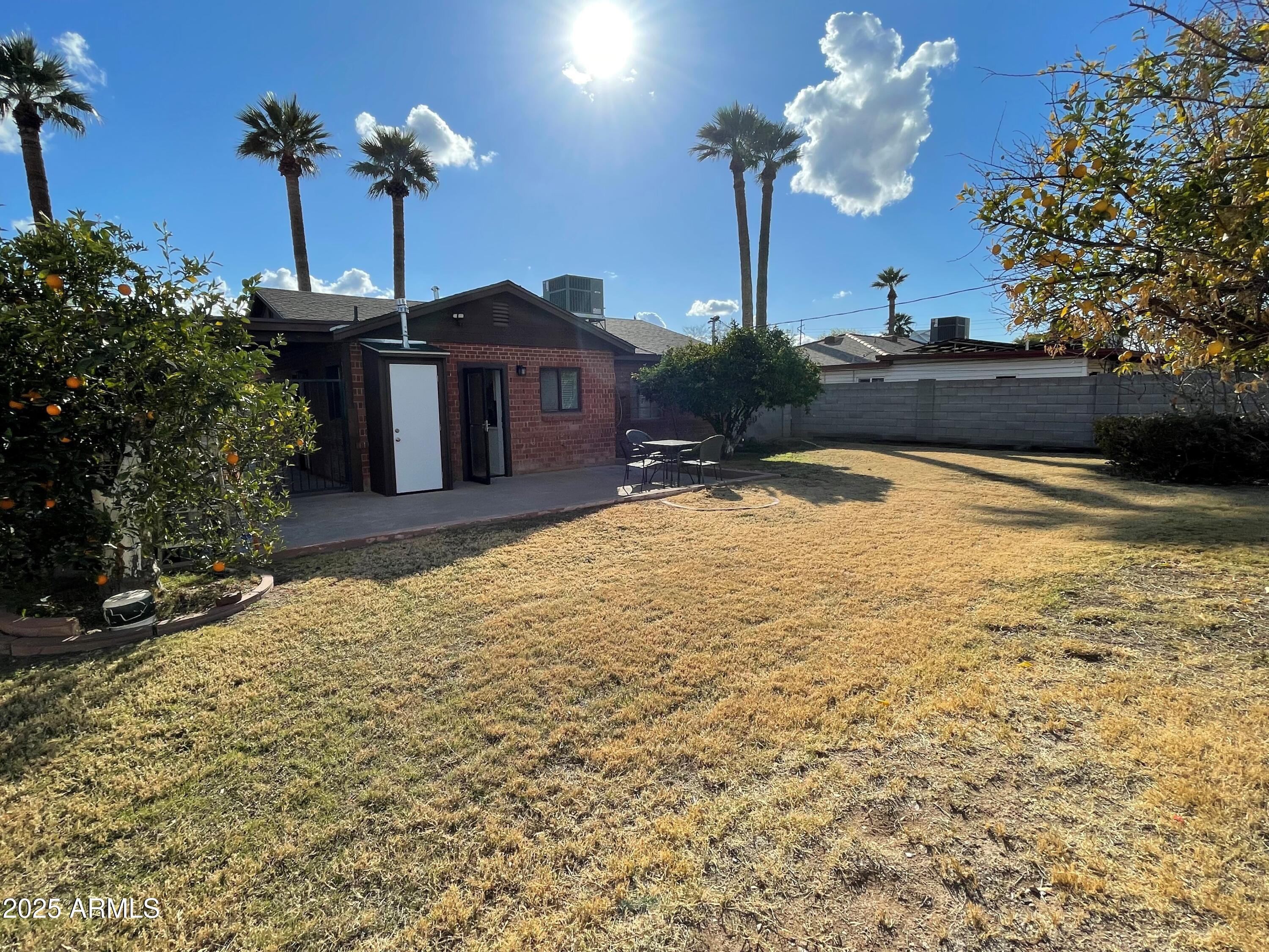 830 East Lamar Road Phoenix, AZ 85014 - Photo 10 of 35 Backyard with Fruit Trees