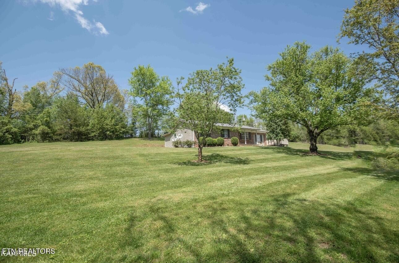 995 Spring Creek Road Dandridge, TN 37725 - Photo 31 of 33 Gallery Image 31