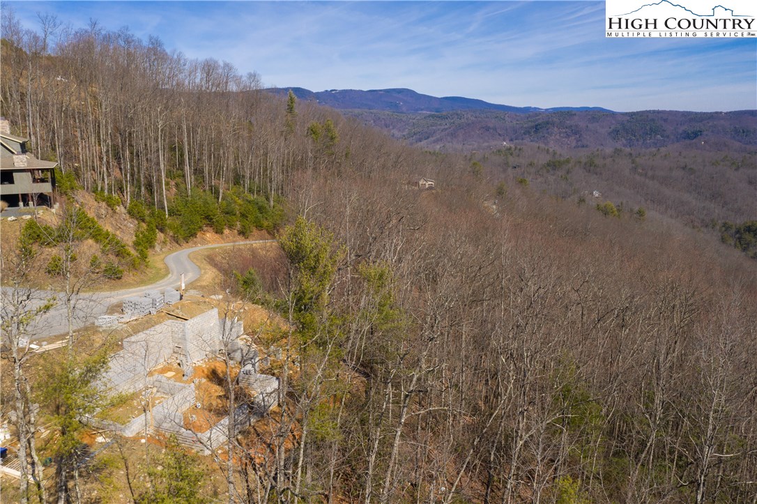 1298 Goldenrod Road Boone, NC 28607 - Photo 9 of 37